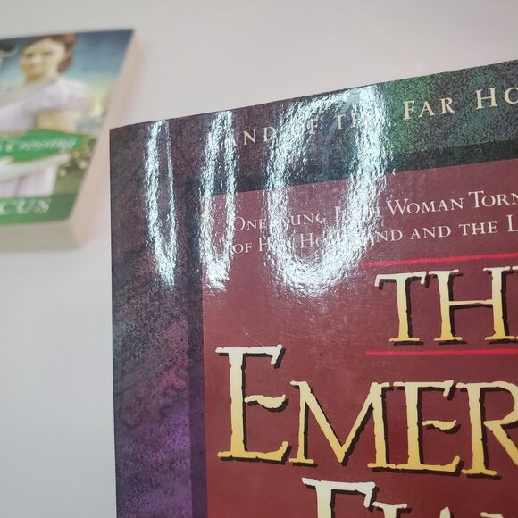 Christian Romance Books Lot 5 Paperback Historical Seafaring Adventure Australia - Picture 9 of 12